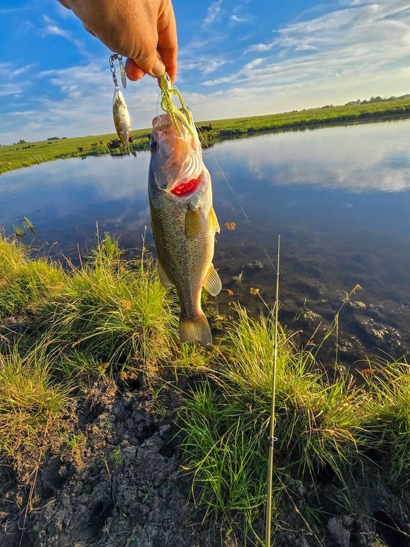 Copy of 20250625_065901