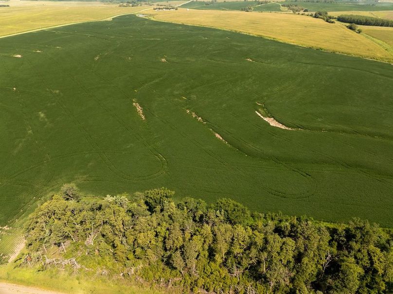 DJI_20250822114657_0087_D