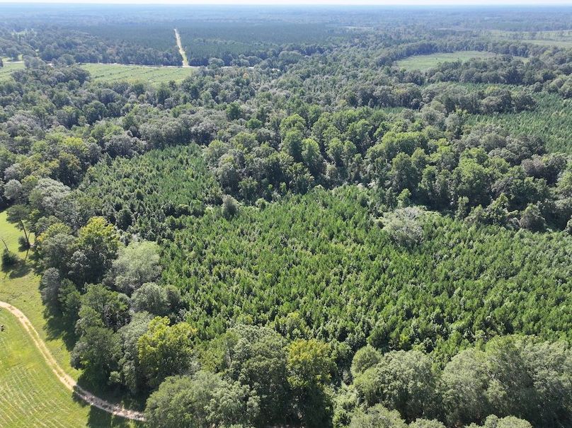 dji_fly_20250903_102046_0407_1757089039100_photo