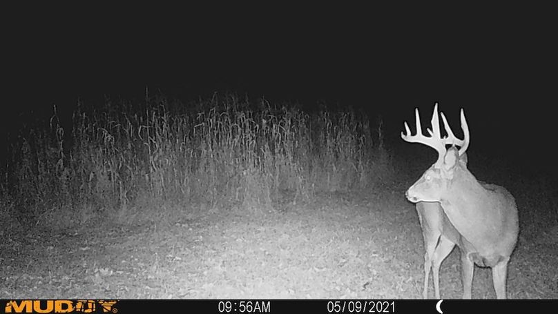 Sauk 174 Trailcam - 55