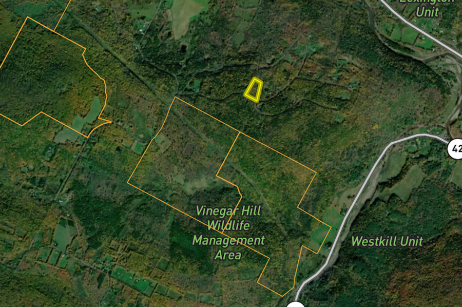 Greene Co 3.6 Delsey vinegar hill 