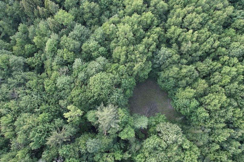 Jefferson_260.3_ Lobach_Photos_41