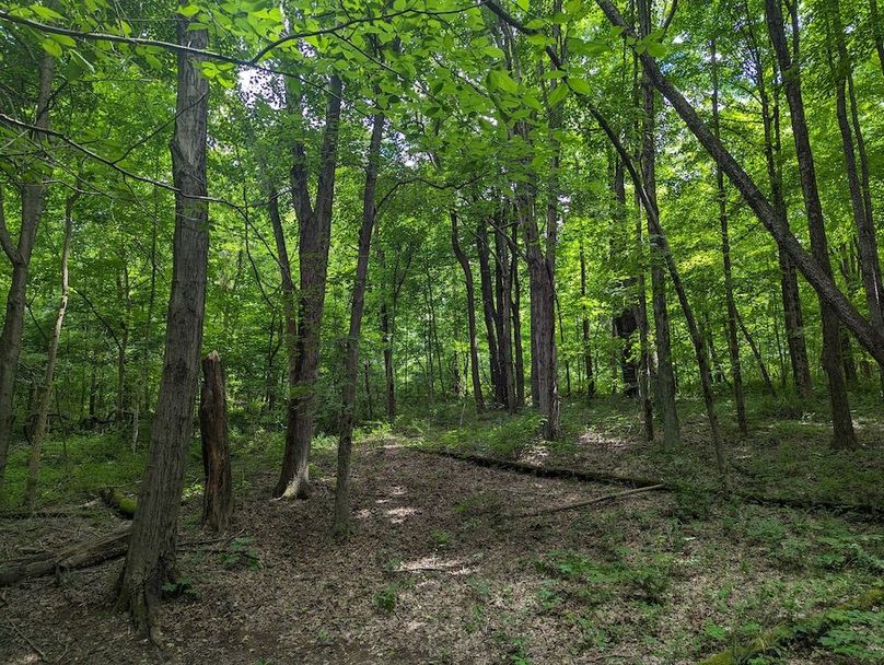 PXL_20240607_185720509