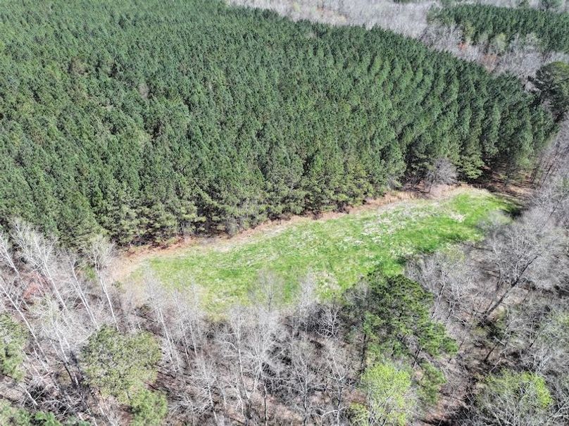 010AE - 257 Acres - Drone-18