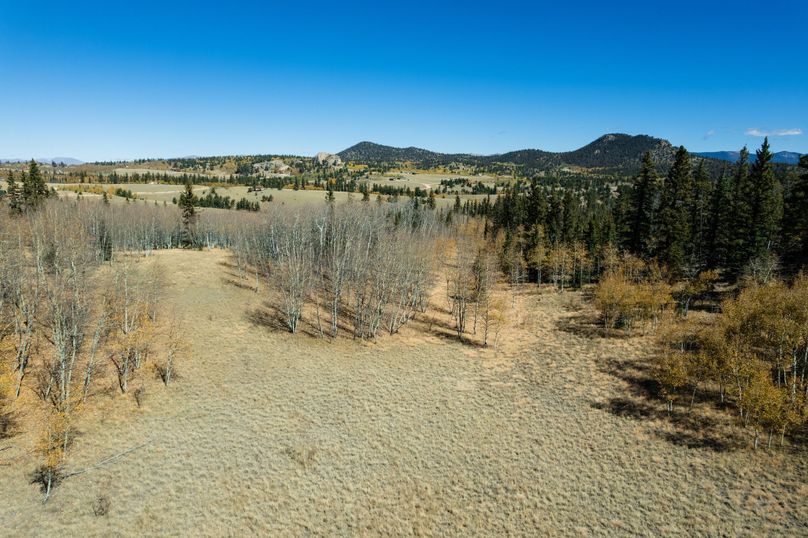 Park Co 35.37 Bowling - 031 Meadow