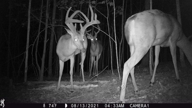 trail cam37
