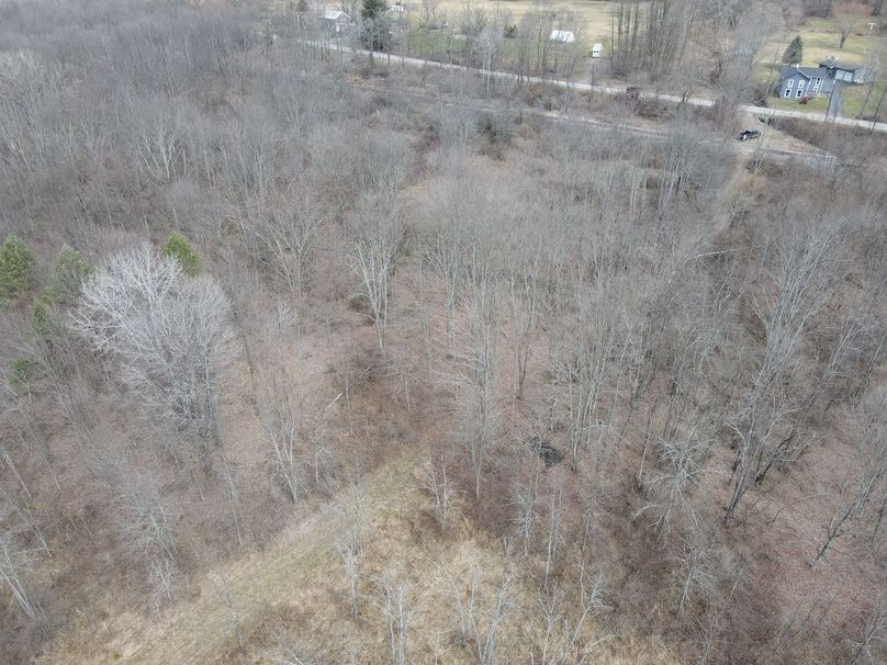 Rare Recreational Land On Chenango River, Possible Building Lot