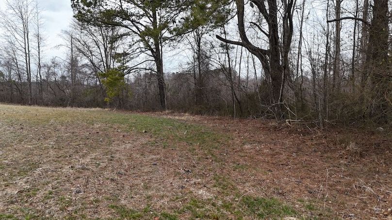 dji_fly_20260218_164454_0028_1771452057336_photo