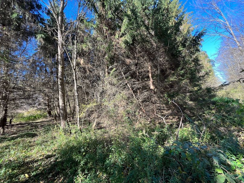 Schuyler_25.155_Ennis_Photos_1