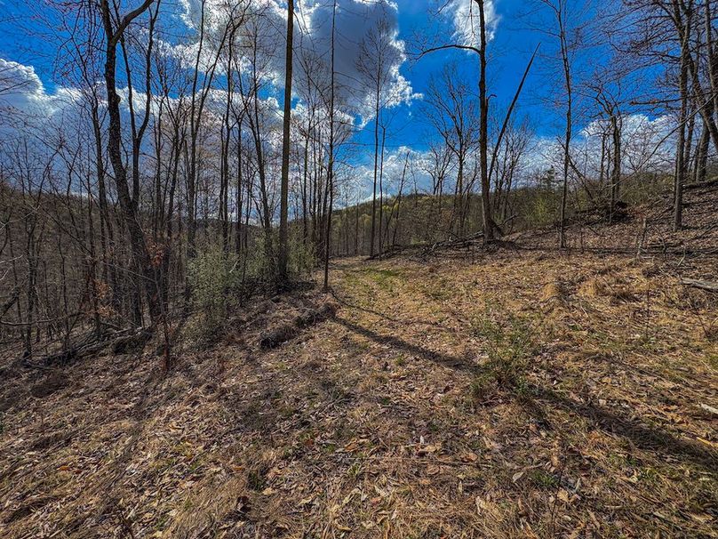 Wirt, WV 156.941 AC Full-19