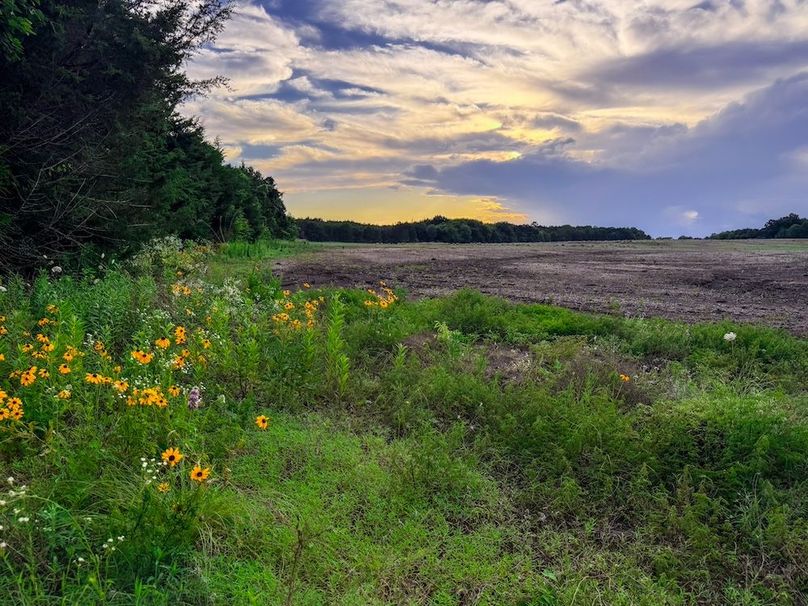 Copy of Clay 374.13-25