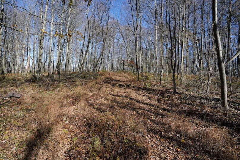 Somerset, 10.91, Tinkey-47