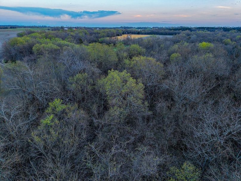 DJI_20250327192751_0130_D