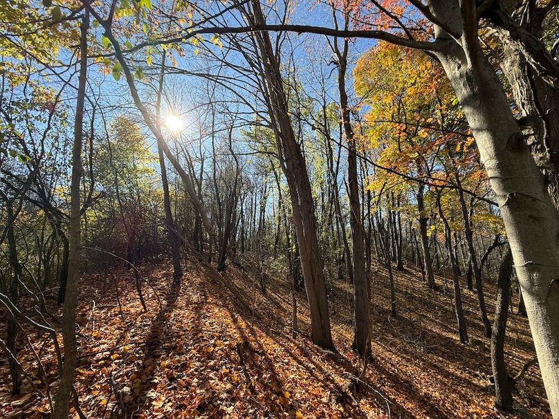 Wayne_18.11_Koehler Photo 24