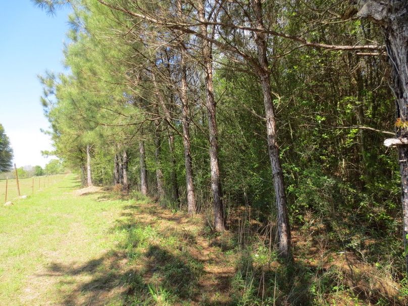 54B711B7-CC6E-458B-B013-252E4A4A6812_1_105_c