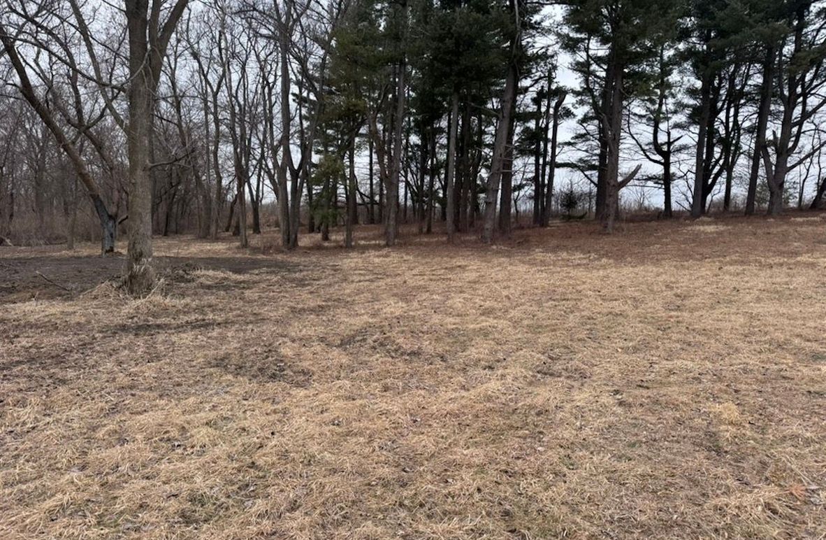 4C075A68-B7B6-4FAB-8D06-84687EF67536_1_105_c