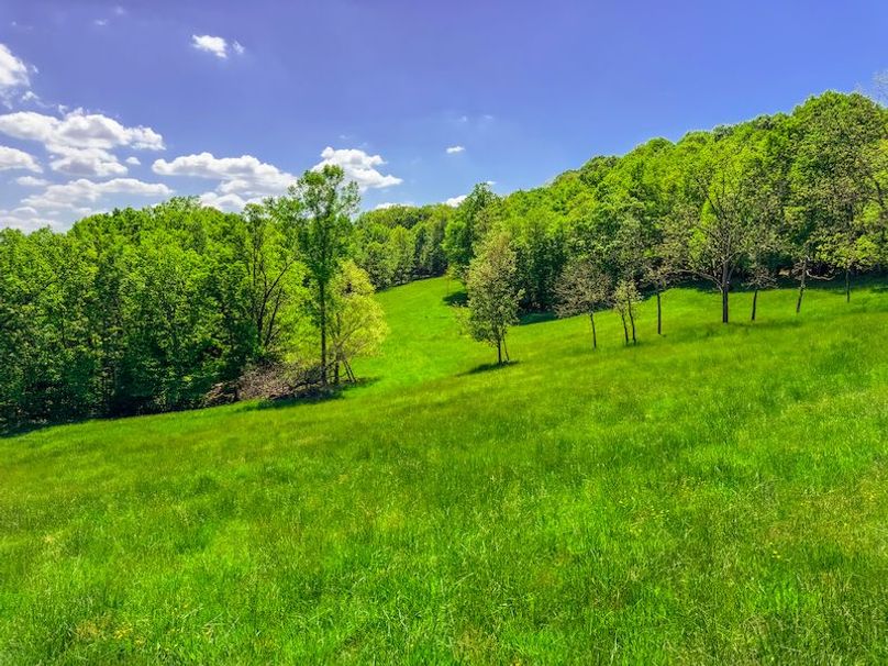 Tyler, WV 161.03 AC Fitzsimmons-078