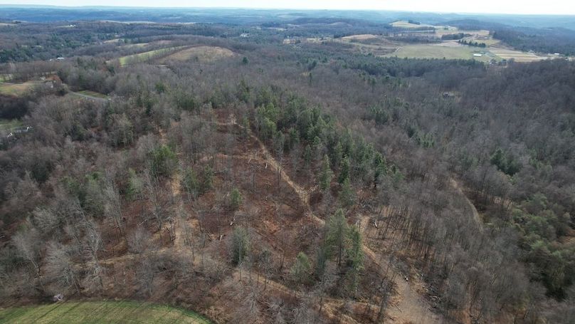 dji_fly_20251124_130706_20_1764007937857_photo