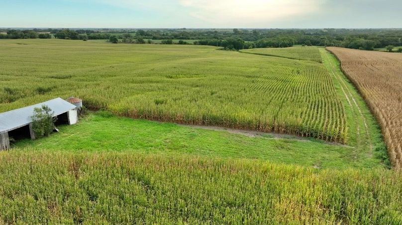 Screenshot 2025-09-05 at 1.55.57 PM