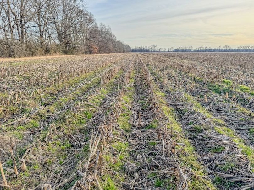 Phillips 8.5 Trahan -07