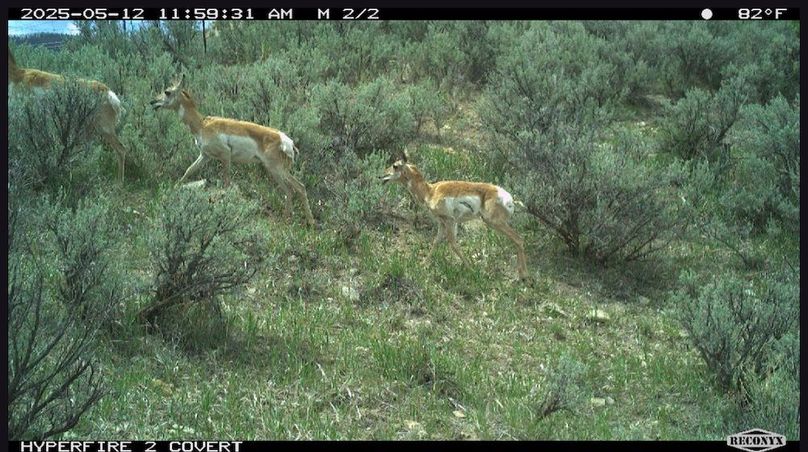 02C4E8EF-4403-4388-9E95-99078DFF9A41