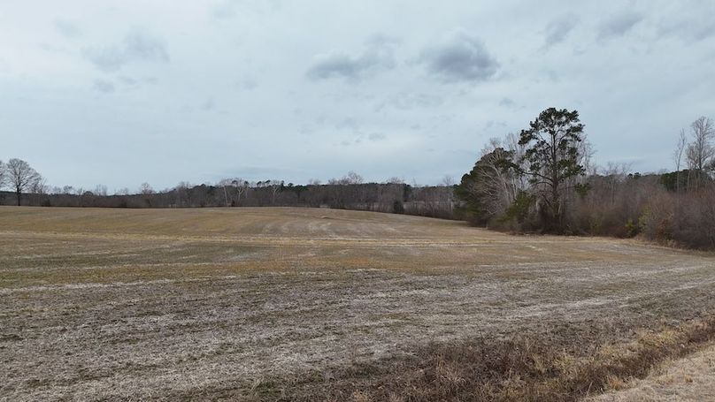 dji_fly_20260218_164302_0021_1771452059315_photo