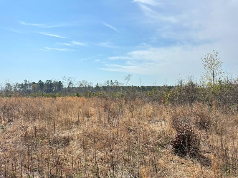 D3F531E8-625D-42FD-B563-551B94D3B7AA