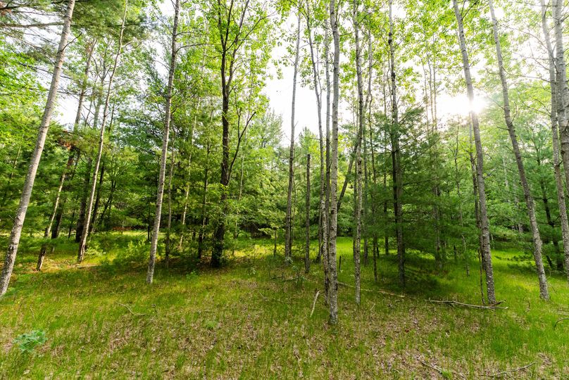 Ogemaw MI 475 Featured Pro Photo-01365