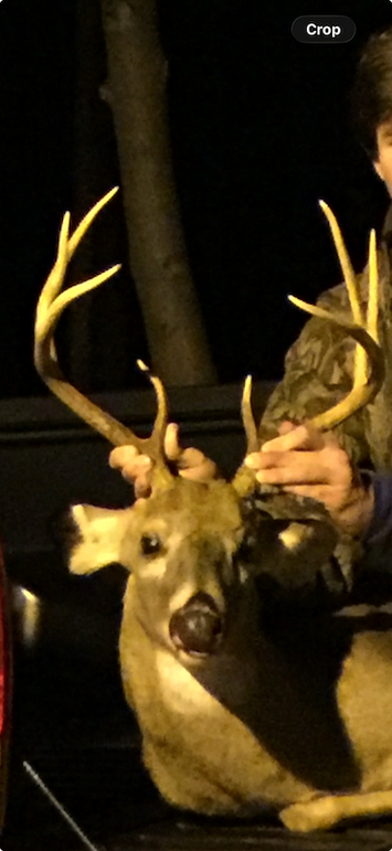 View recent photos (1)