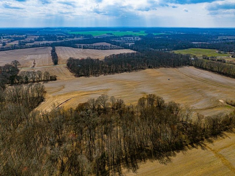 Gibson County Tract 1-3