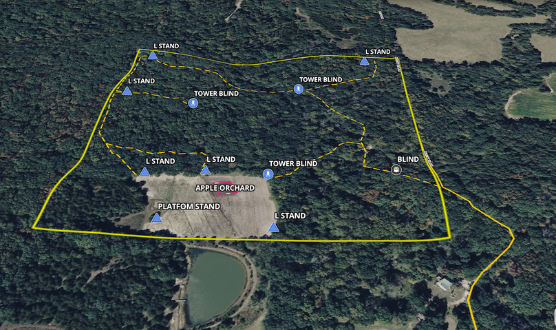 Screenshot 2025-03-12 at 8.56.38 AM