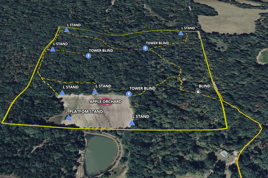 Screenshot 2025-03-12 at 8.56.38 AM