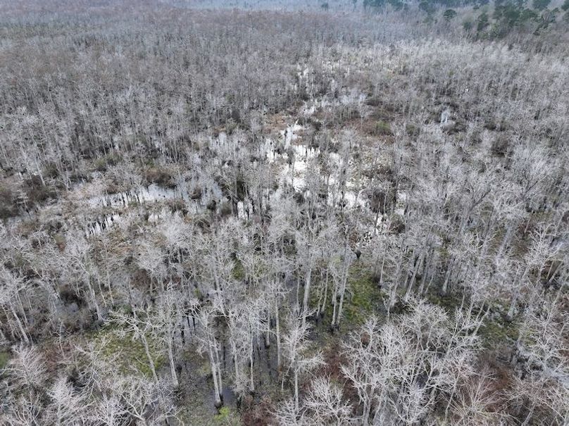 dji_fly_20260123_134658_0976_1769444759709_photo