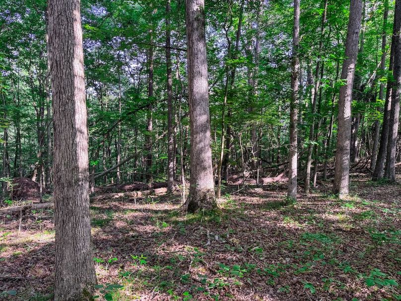 Ritchie, WV 20 AC Thompson-14