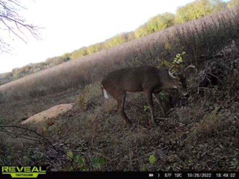 229b4132-085b-423c-9206-bbd87edc6bac