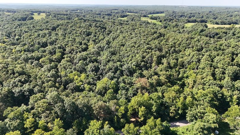 DJI_20250730110334_0002_D