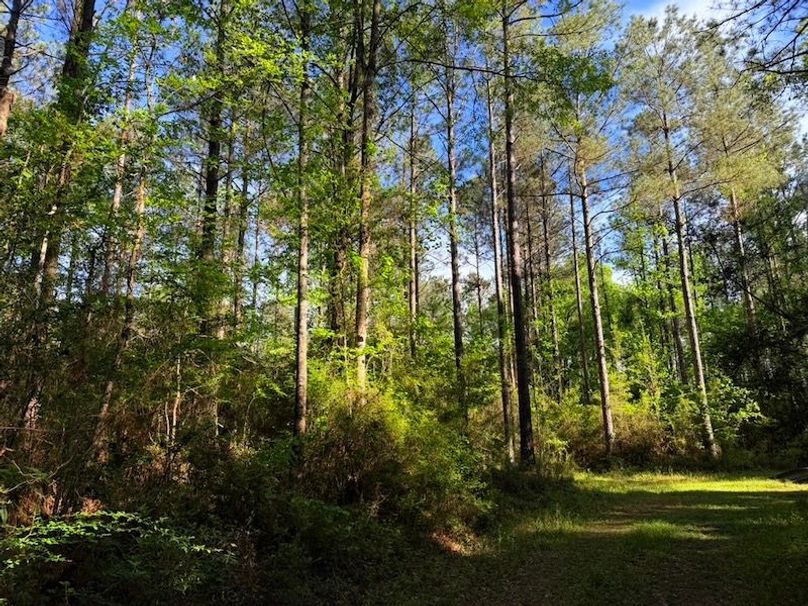 A56653C9-E8AD-44BE-9FA1-E25B432F70F9_1_105_c