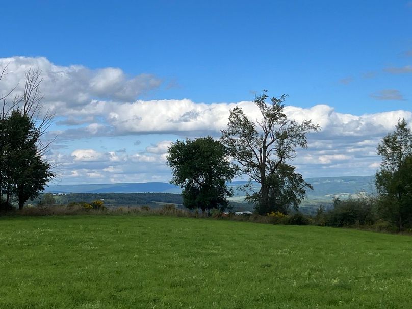 Schuyler_42.08_Austin Photo 9