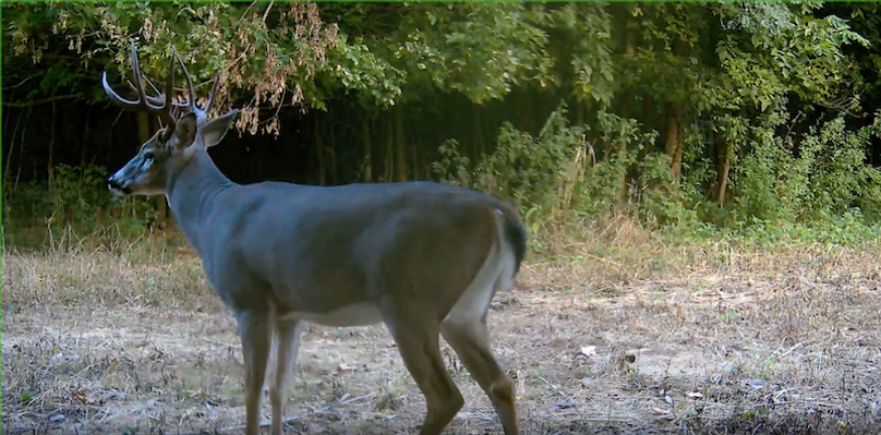 Screenshot 2025-09-24 at 2.48.18 PM