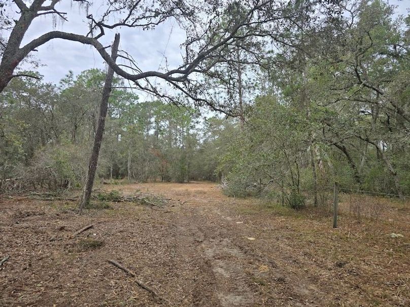 5ac, Marion, Andrew Goering11