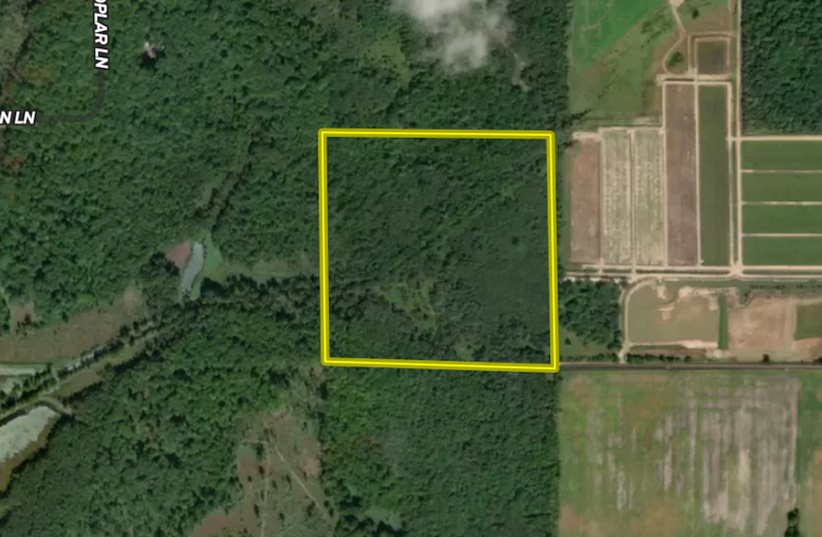 Screenshot 2025-05-05 at 9.39.17 AM