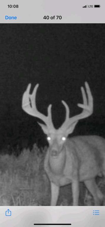 pulse-image-1658112867983