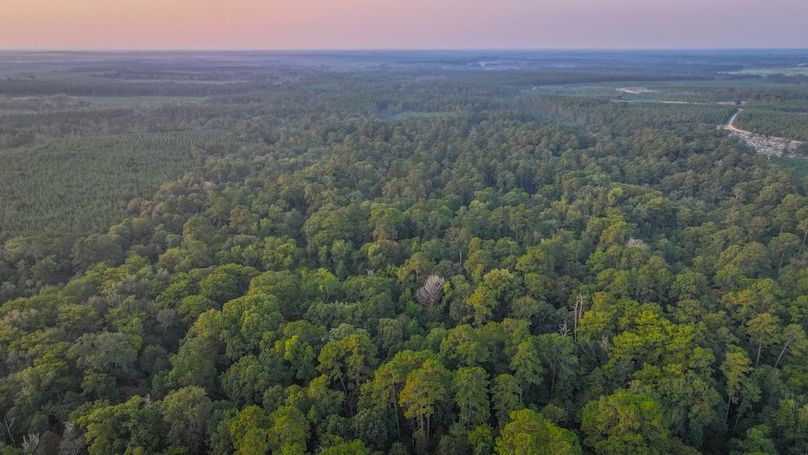 DJI_20250918070505_0019_D