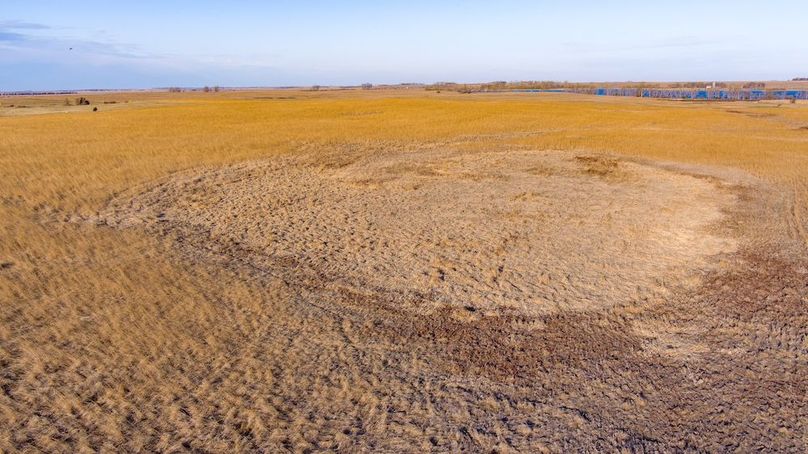 10. wetland