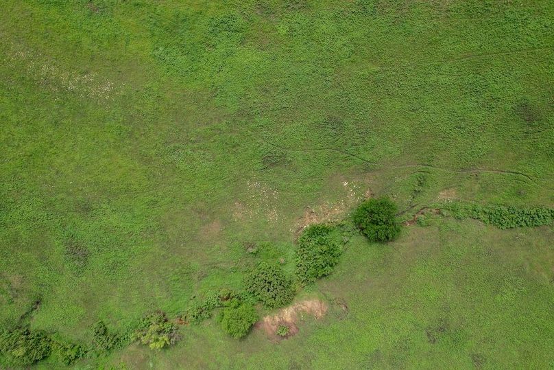 DJI_0652