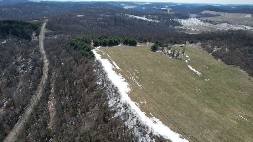 dji_fly_20260319_142334_145_1773945024140_photo