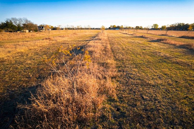 Collin 17 acres (8 of 21)