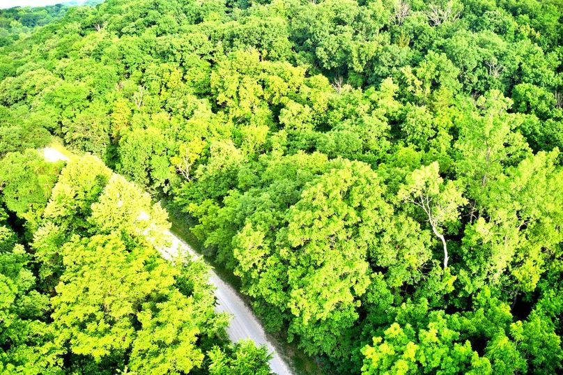 DJI_0676