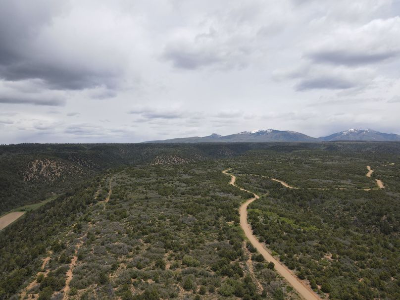 dji_export_1685968222587