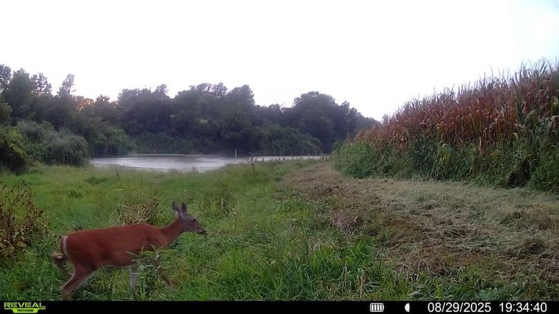 016579006920529-100-4-08292025193440-SYFW00007